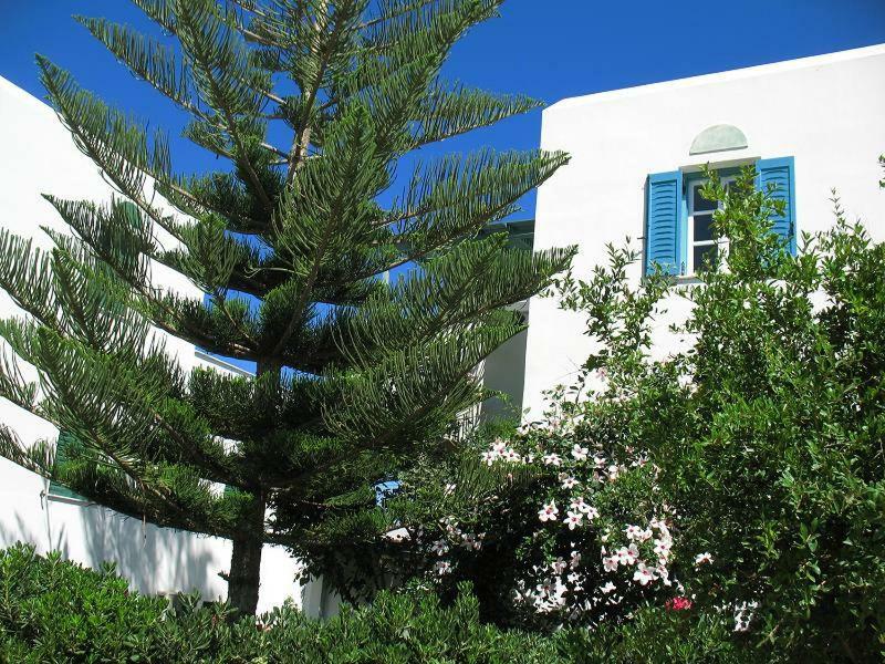 Hotel Kapari Agia Anna  Exteriér fotografie